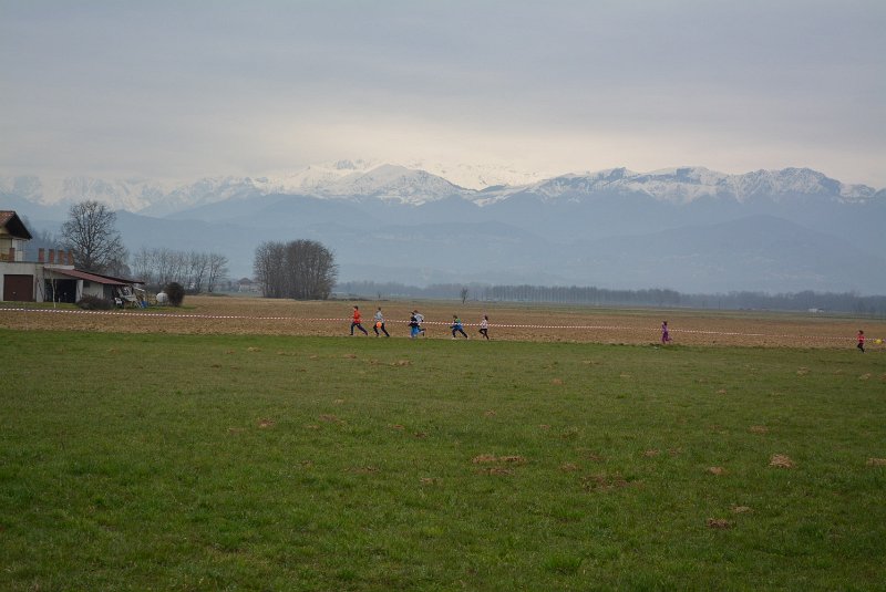 DSC_6875.JPG
