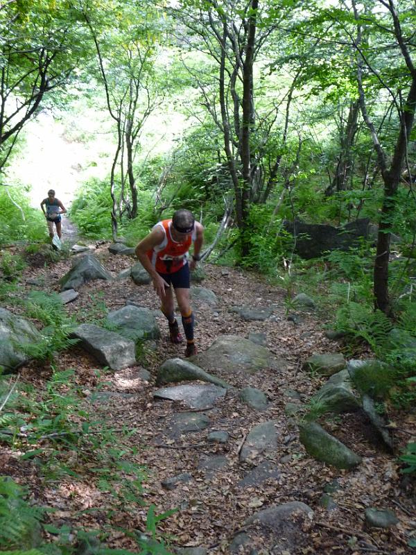 P1040719.JPG