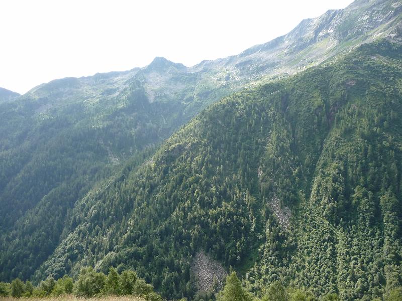 P1010290.JPG
