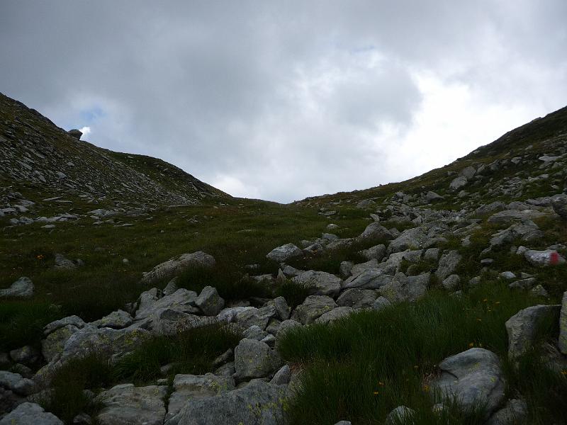 P1010325.JPG