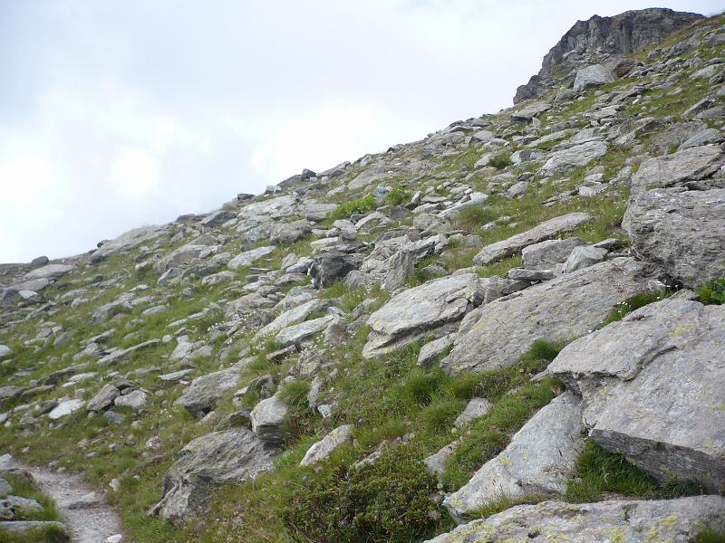 P1010436.JPG