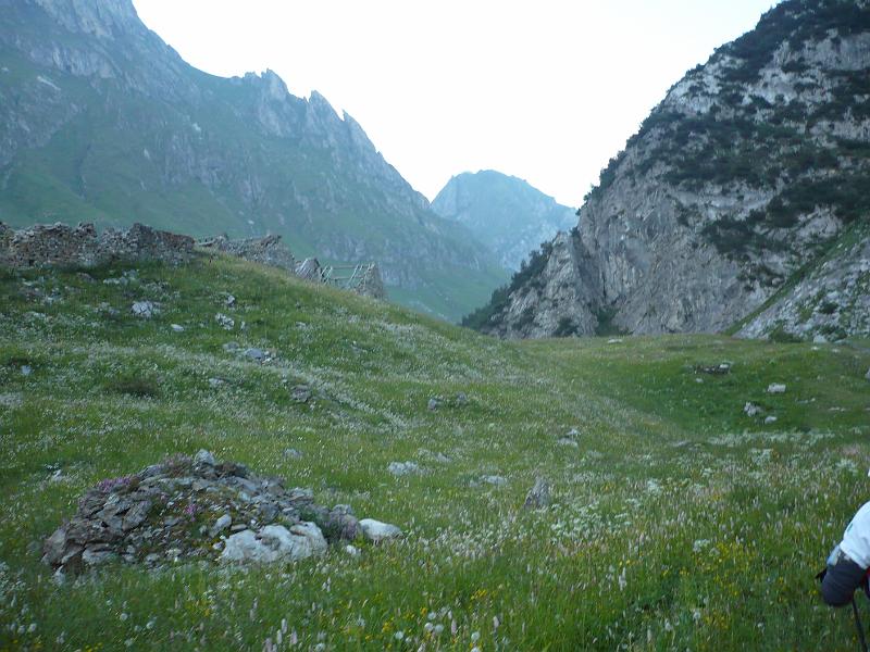 P1020758.JPG