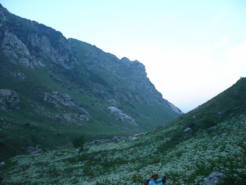 P1020774.JPG