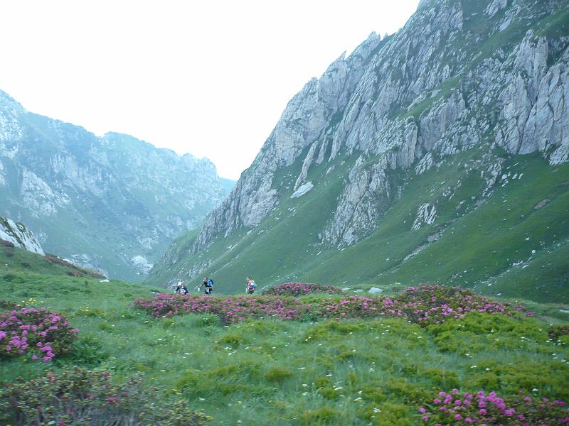 P1020782.JPG
