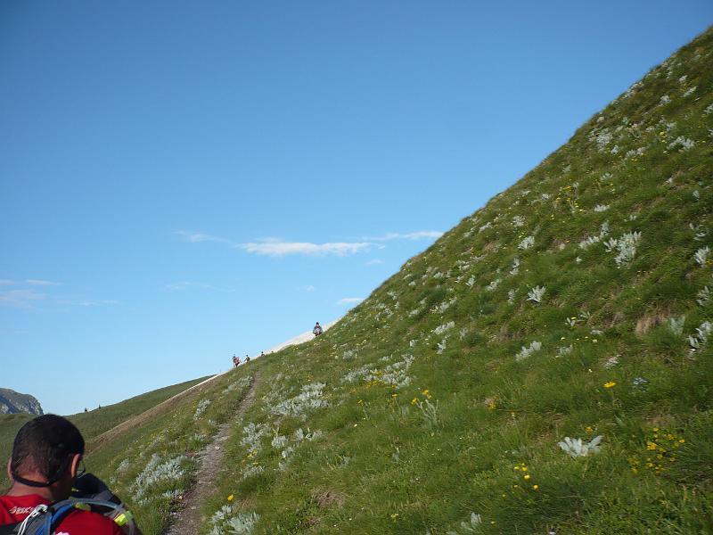 P1020793.JPG