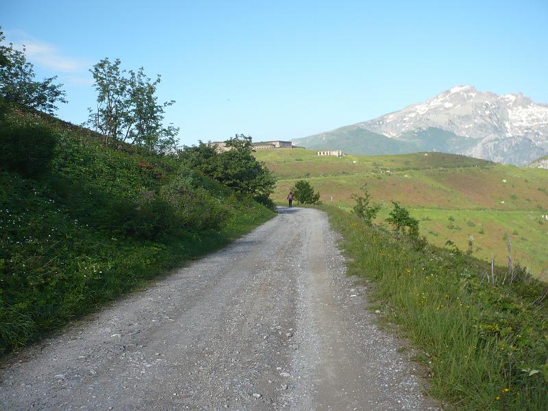 P1020848.JPG