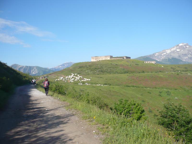 P1020852.JPG