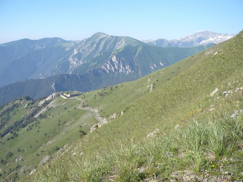 P1020877.JPG