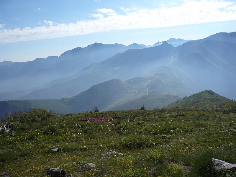 P1020884.JPG