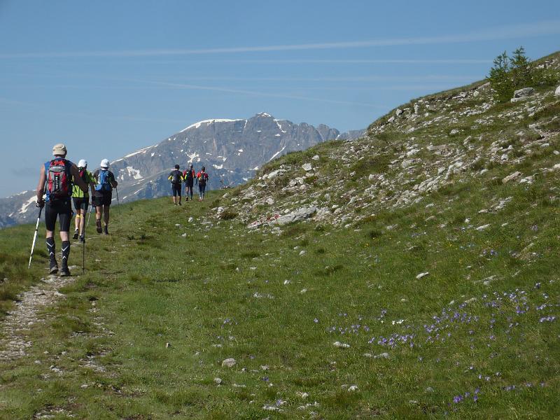 P1020916.JPG