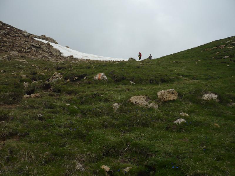 P1020939.JPG
