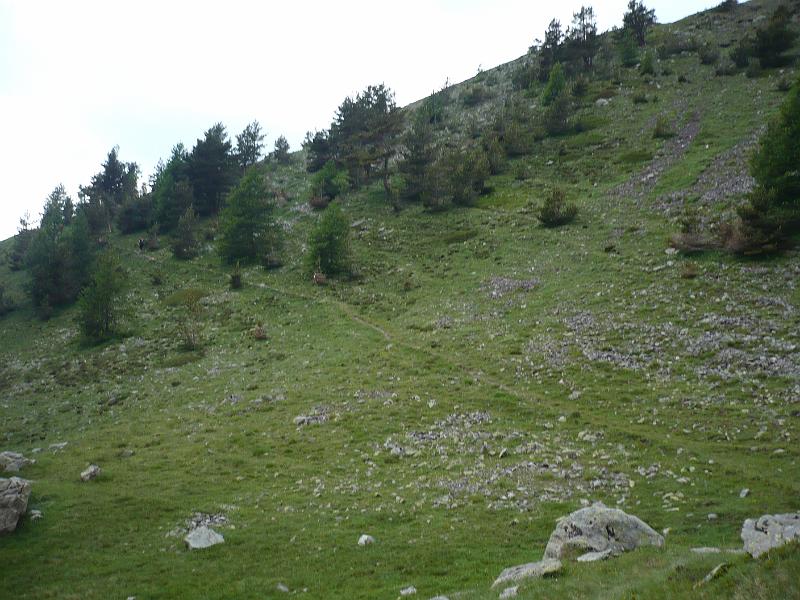 P1020952.JPG