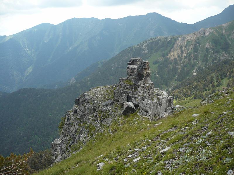 P1020954.JPG