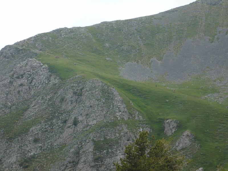 P1020968.JPG