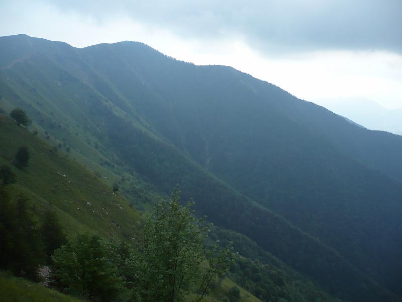 P1030019.JPG