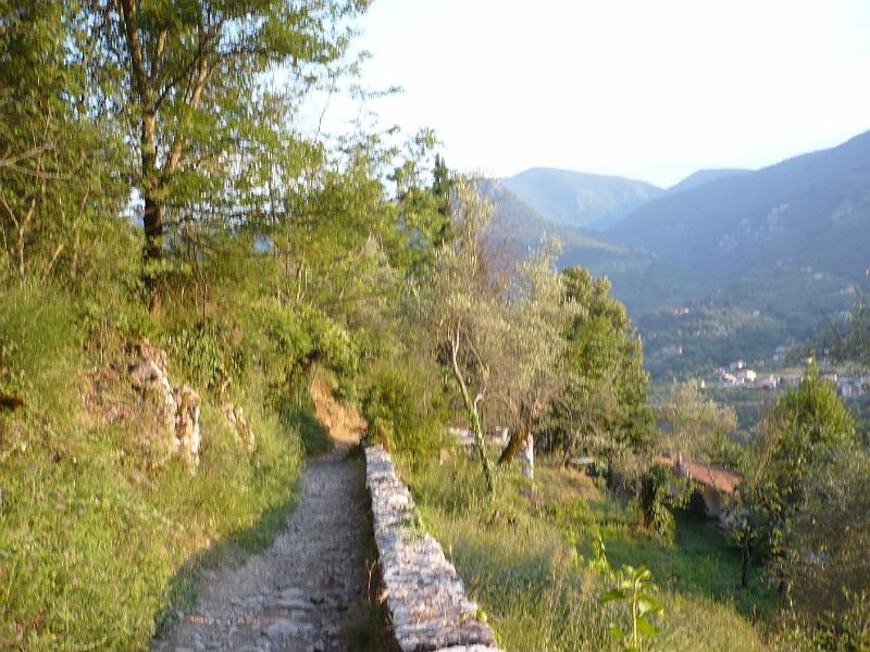 P1030038.JPG