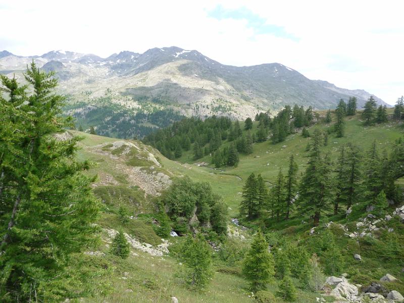 P1050065.JPG