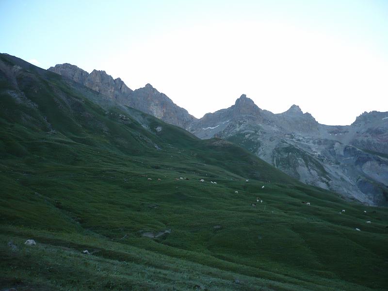 P1000501.JPG
