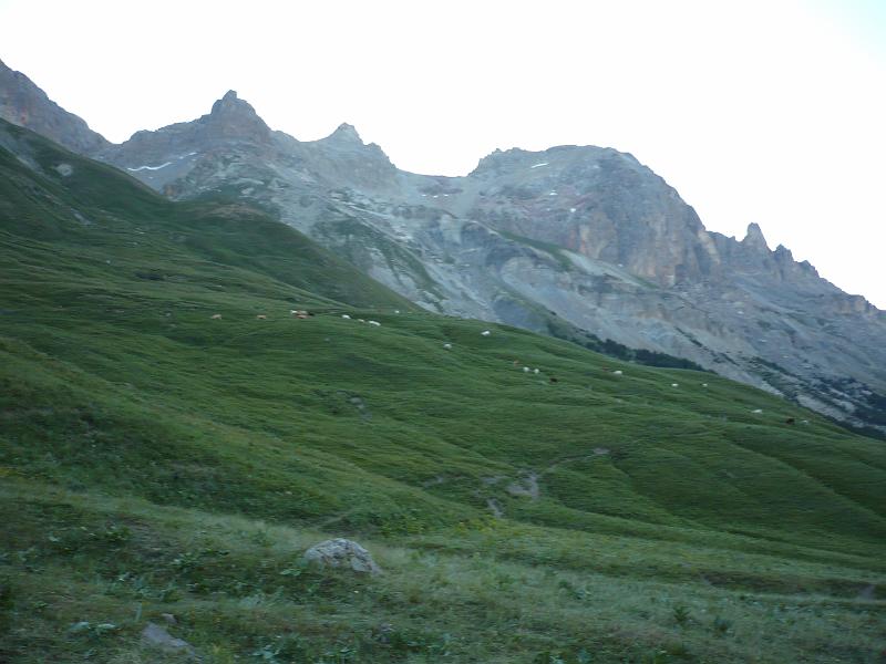 P1000504.JPG
