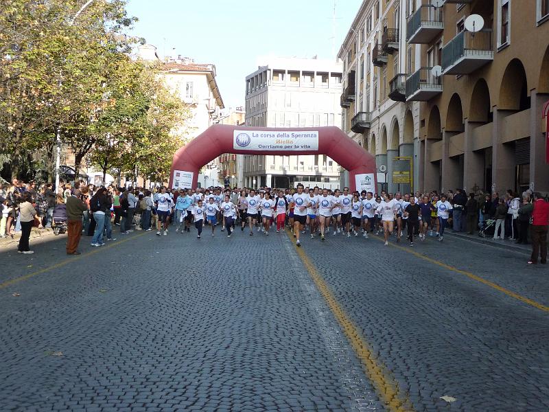 P1020613.JPG