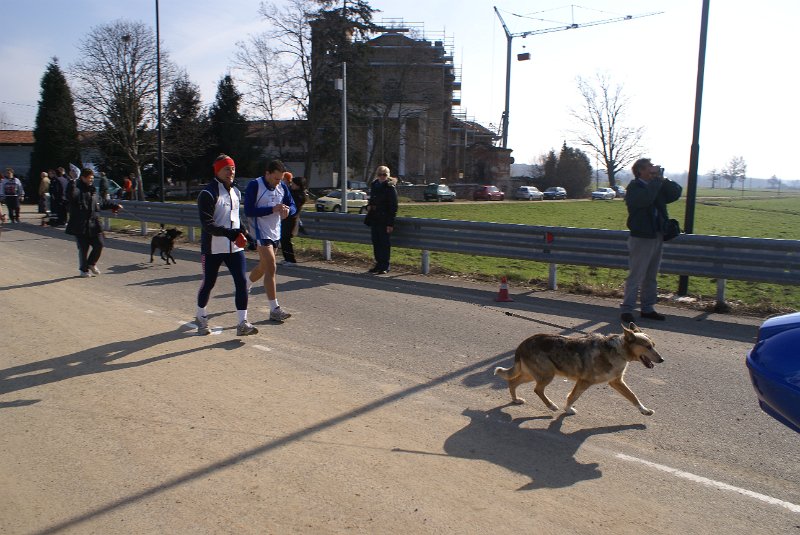DSC08598.JPG