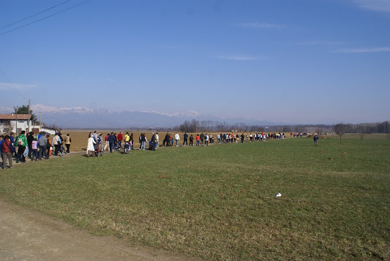 DSC08636.JPG