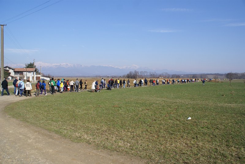 DSC08637.JPG