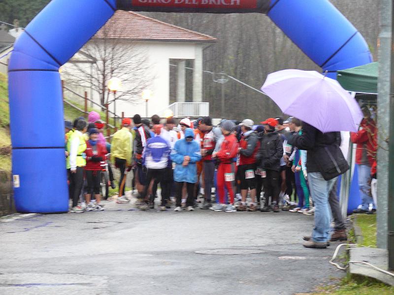 P1000074.JPG