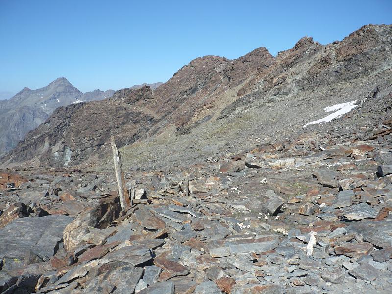 P1010247.JPG