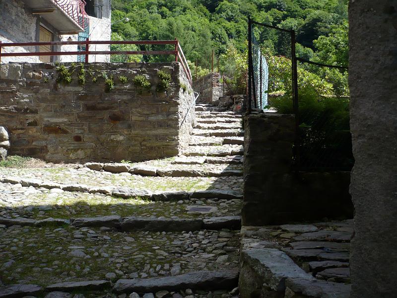P1000238.JPG