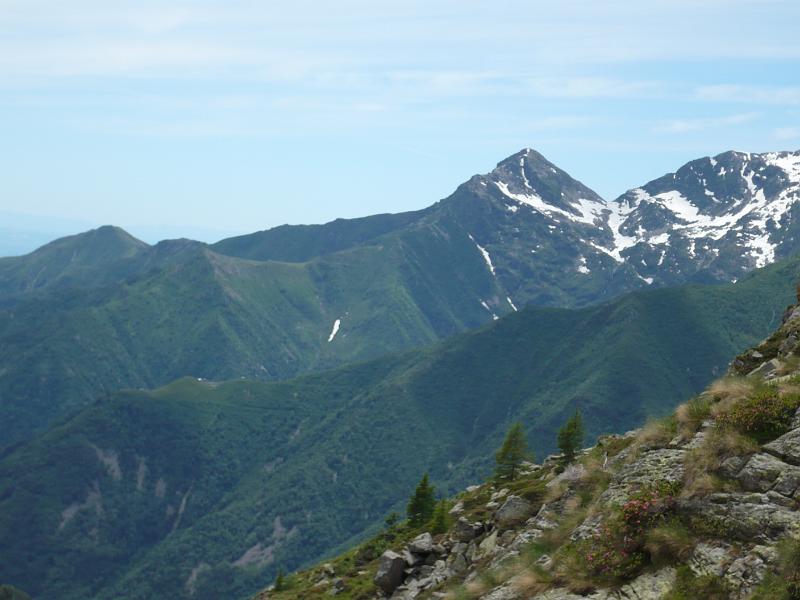 P1000288.JPG