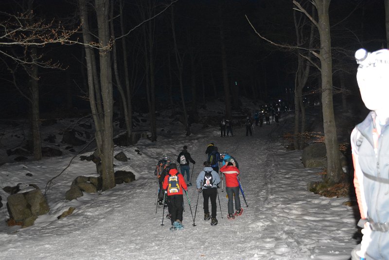 DSC_6184.JPG