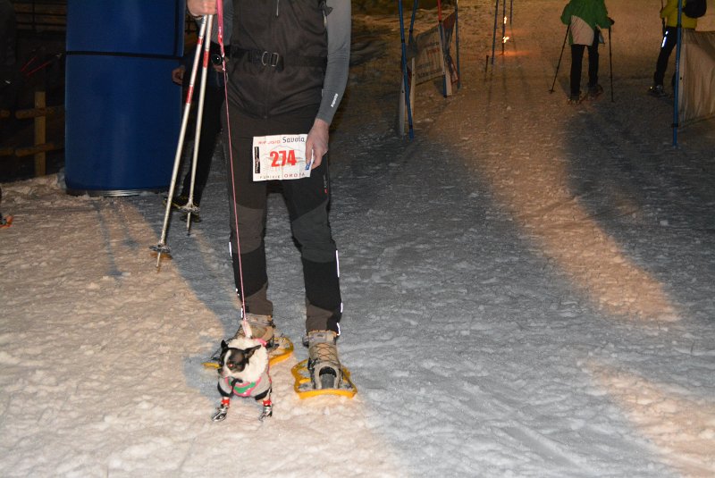 DSC_6291.JPG