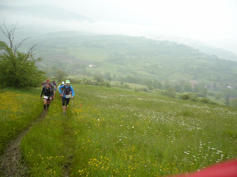 P1020387.JPG