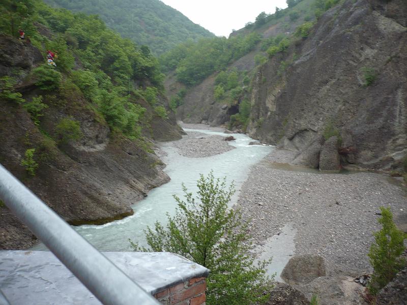 P1020390.JPG