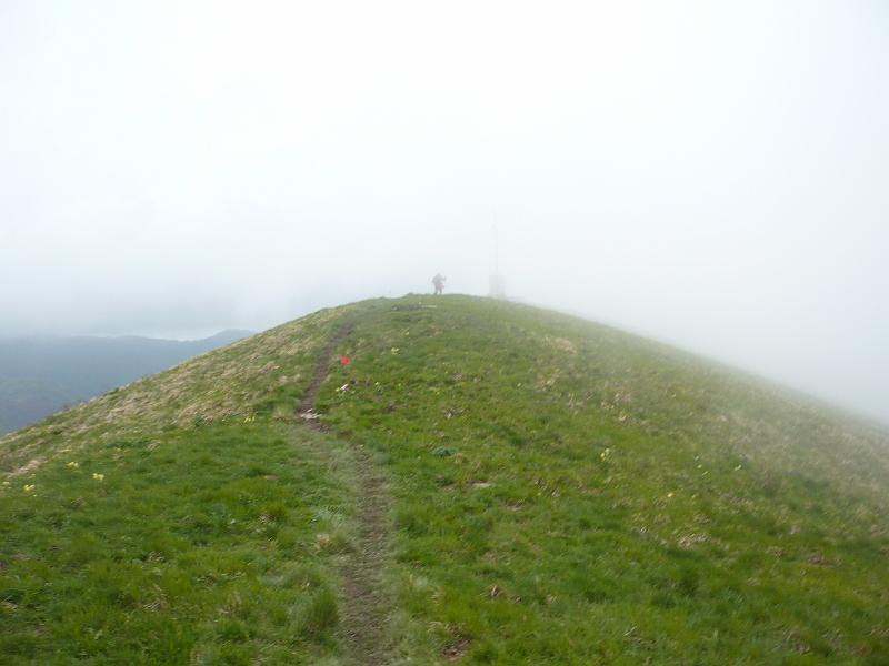 P1020398.JPG