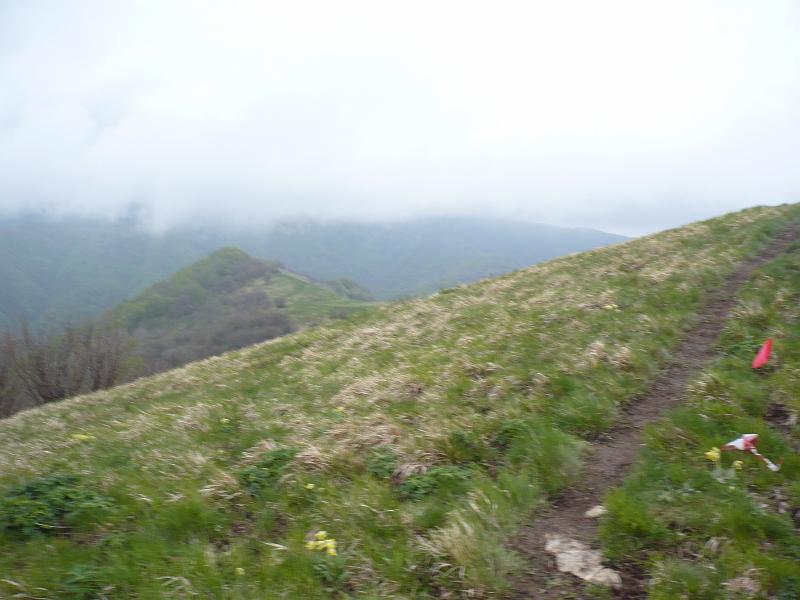 P1020400.JPG