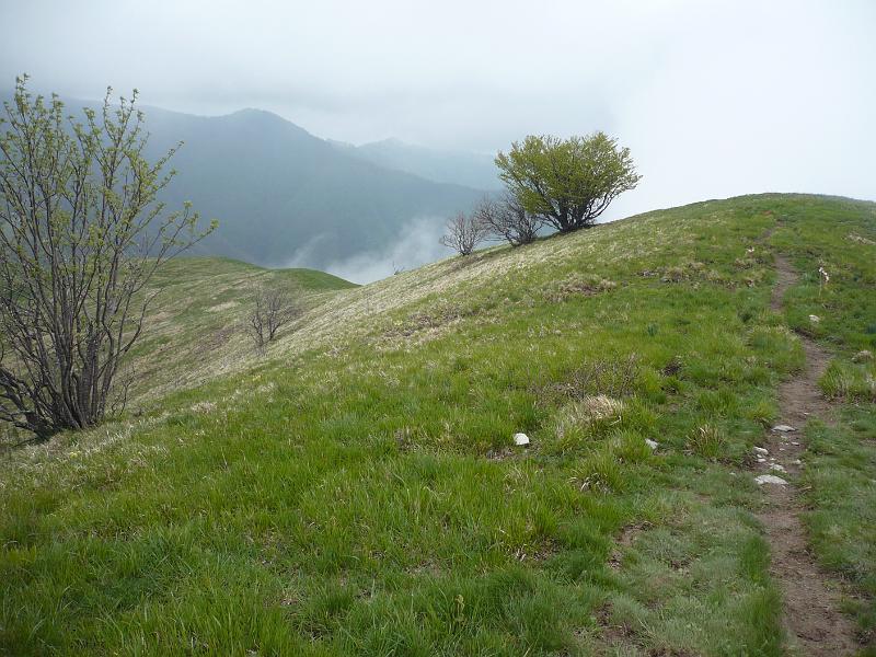 P1020403.JPG