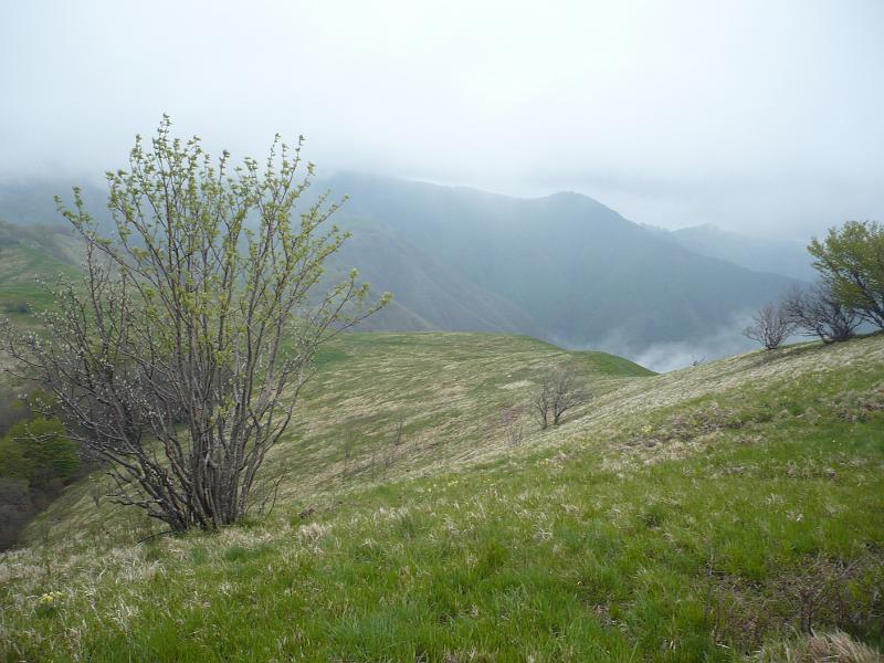 P1020404.JPG