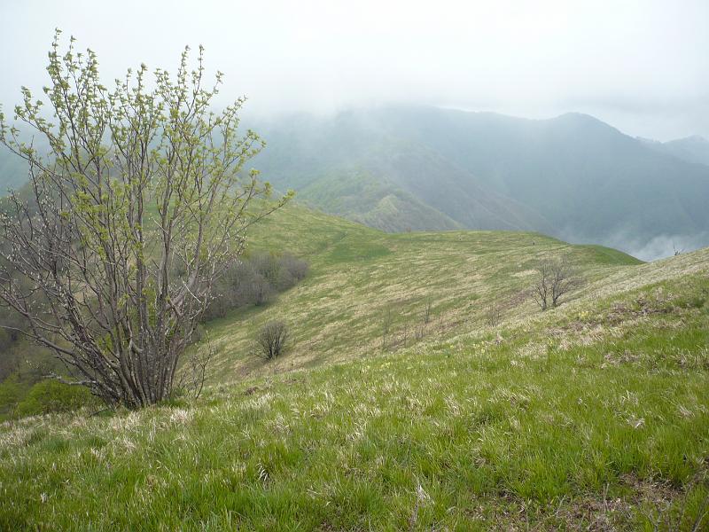 P1020405.JPG