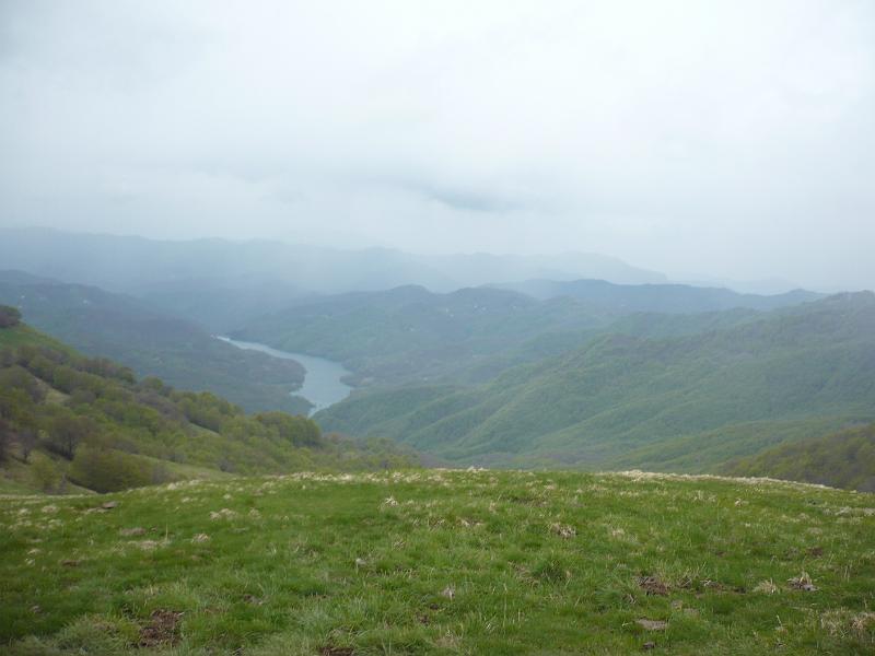 P1020407.JPG