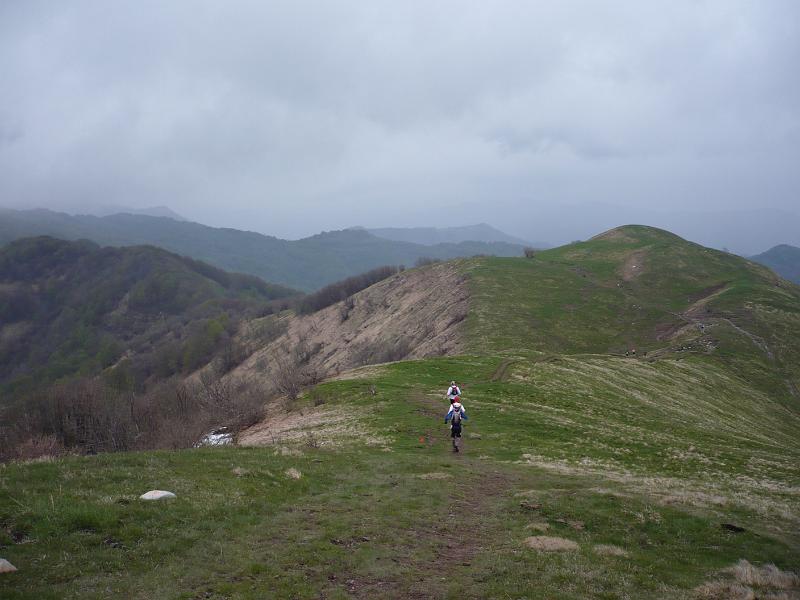 P1020410.JPG