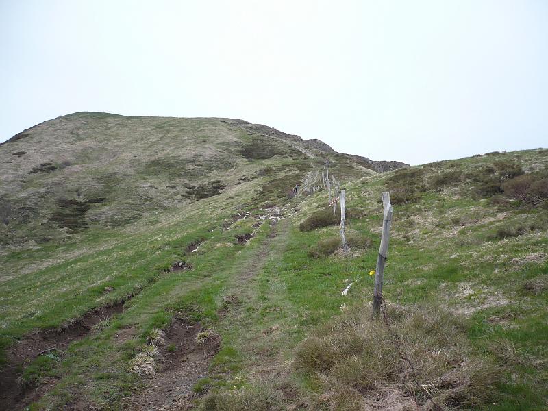 P1020411.JPG