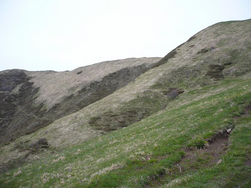 P1020412.JPG