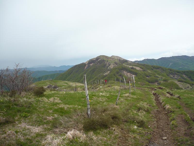 P1020413.JPG
