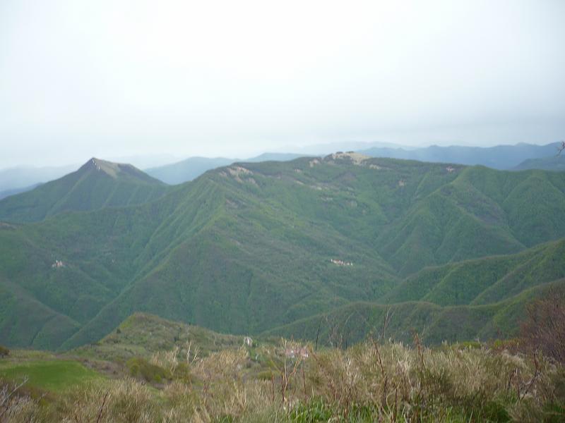 P1020415.JPG