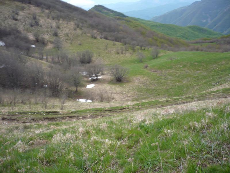 P1020416.JPG