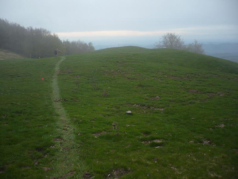 P1020418.JPG