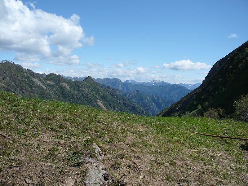 P1000235.JPG