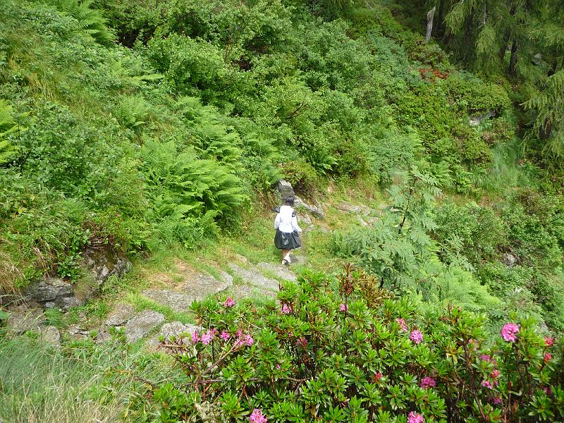 P1000541.JPG
